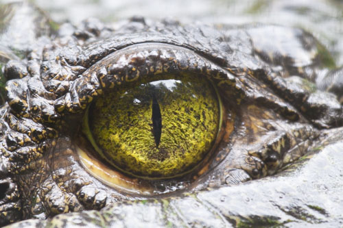 tropical queensland photo tour example 